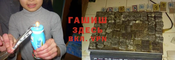 индика Белокуриха