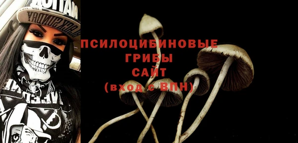 индика Белокуриха