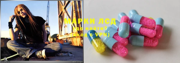 индика Белокуриха