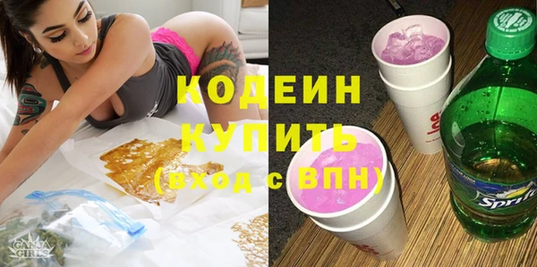 индика Белокуриха
