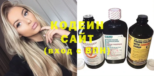 индика Белокуриха