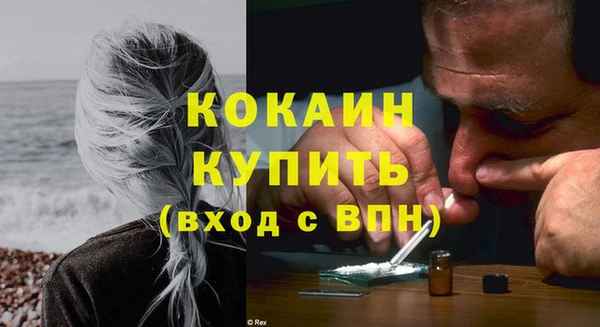 индика Белокуриха