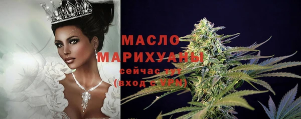 индика Белокуриха