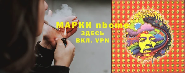 индика Белокуриха